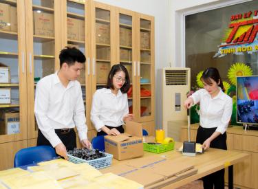 Cơ hội việc làm